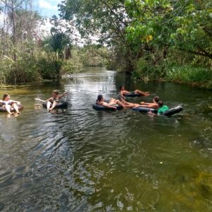 Flutuação Cardosa (grupo CVC)